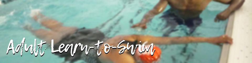 Adult Learn to Swim