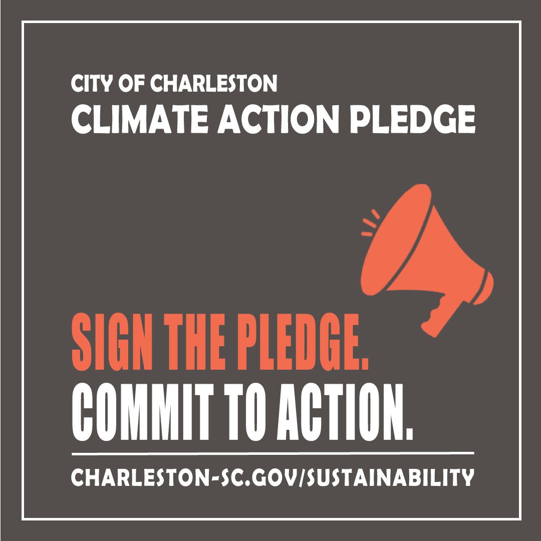 sign-the-pledge-social-media-brown