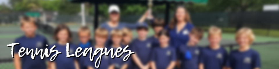 Tennis Leagues