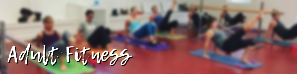 Adult Fitness