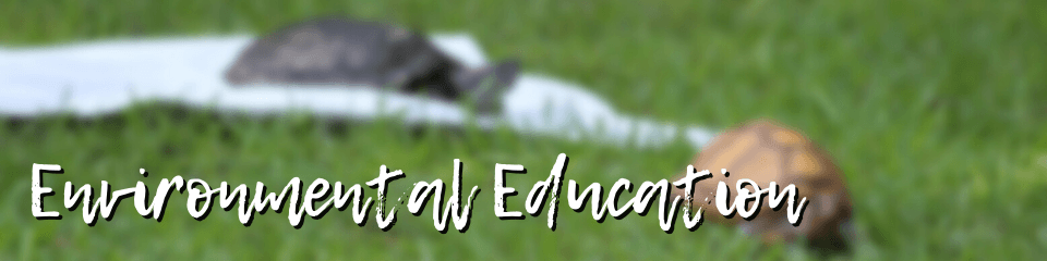Environmental Education