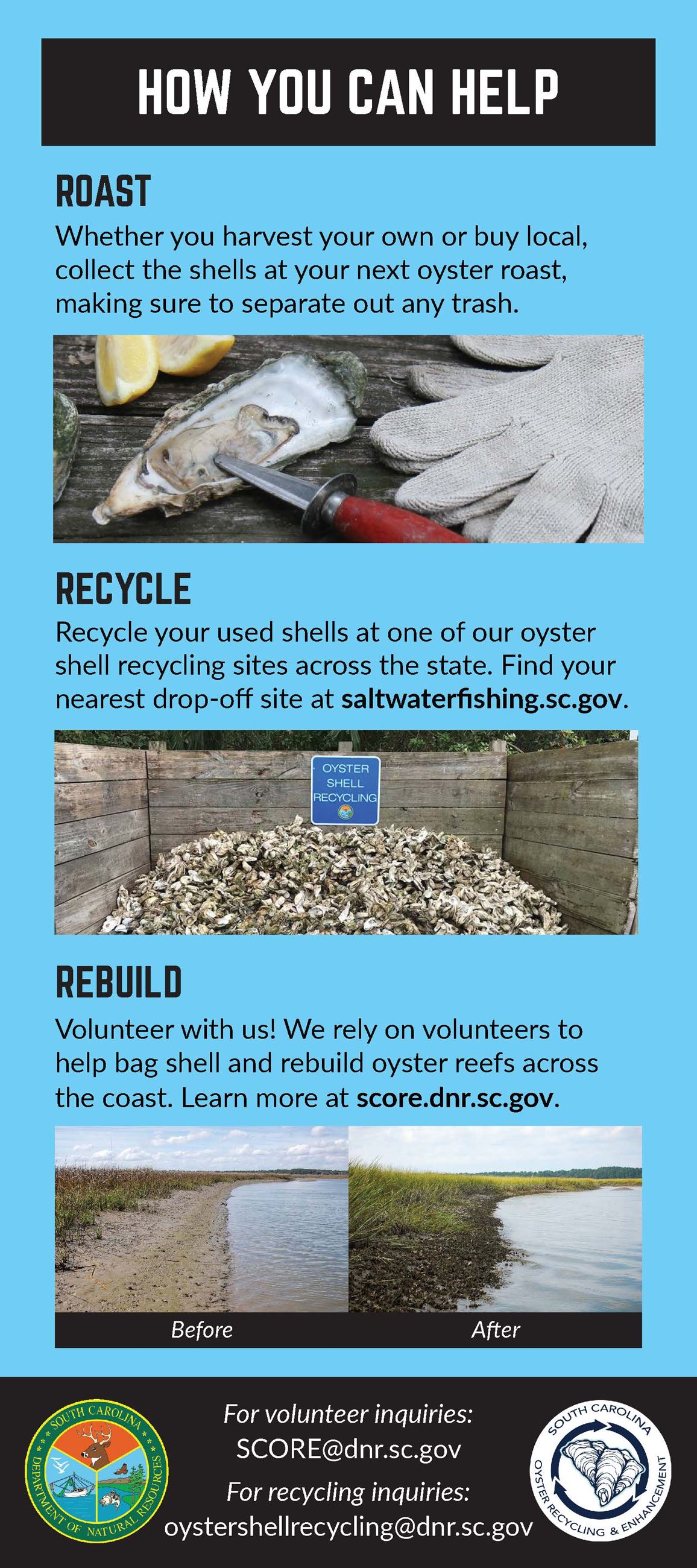 Benefits of Oysters Handout_Page_2