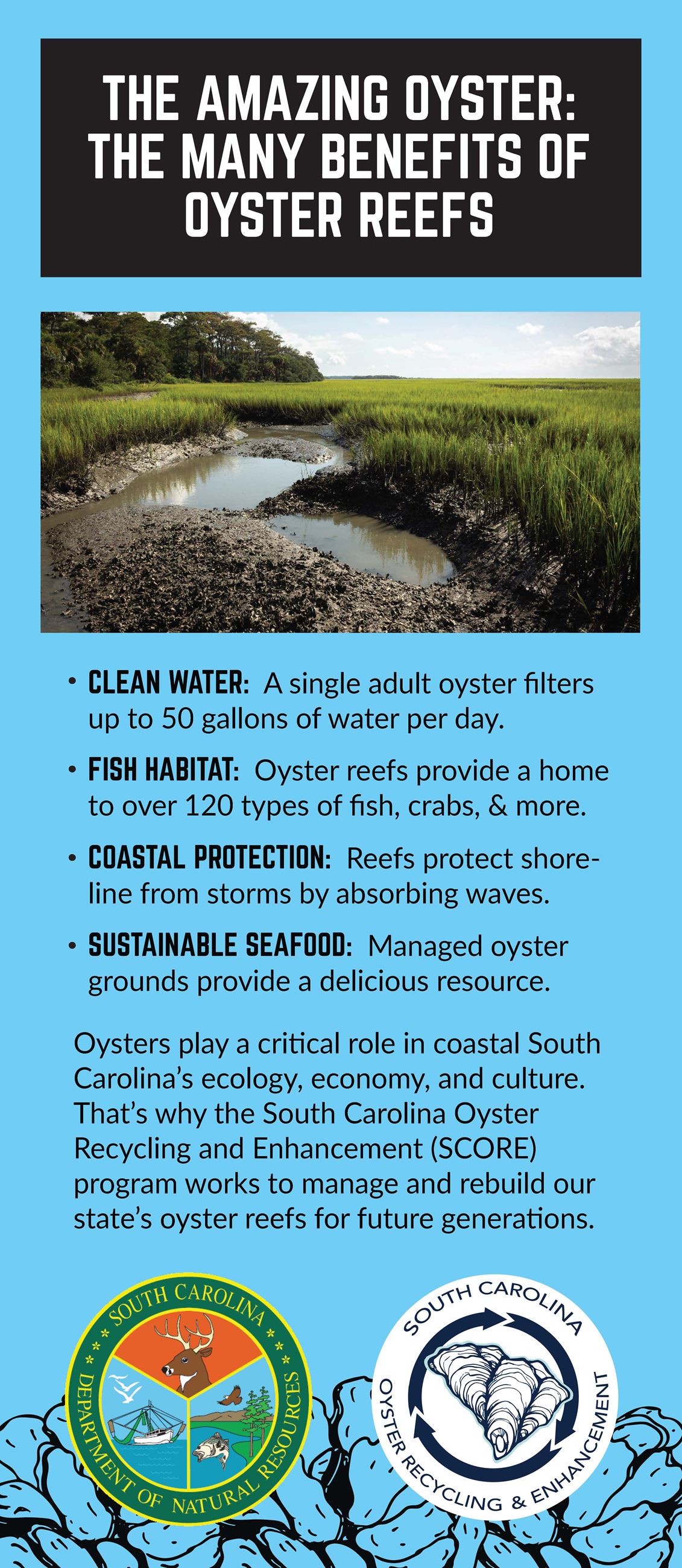 Benefits of Oysters Handout_Page_1