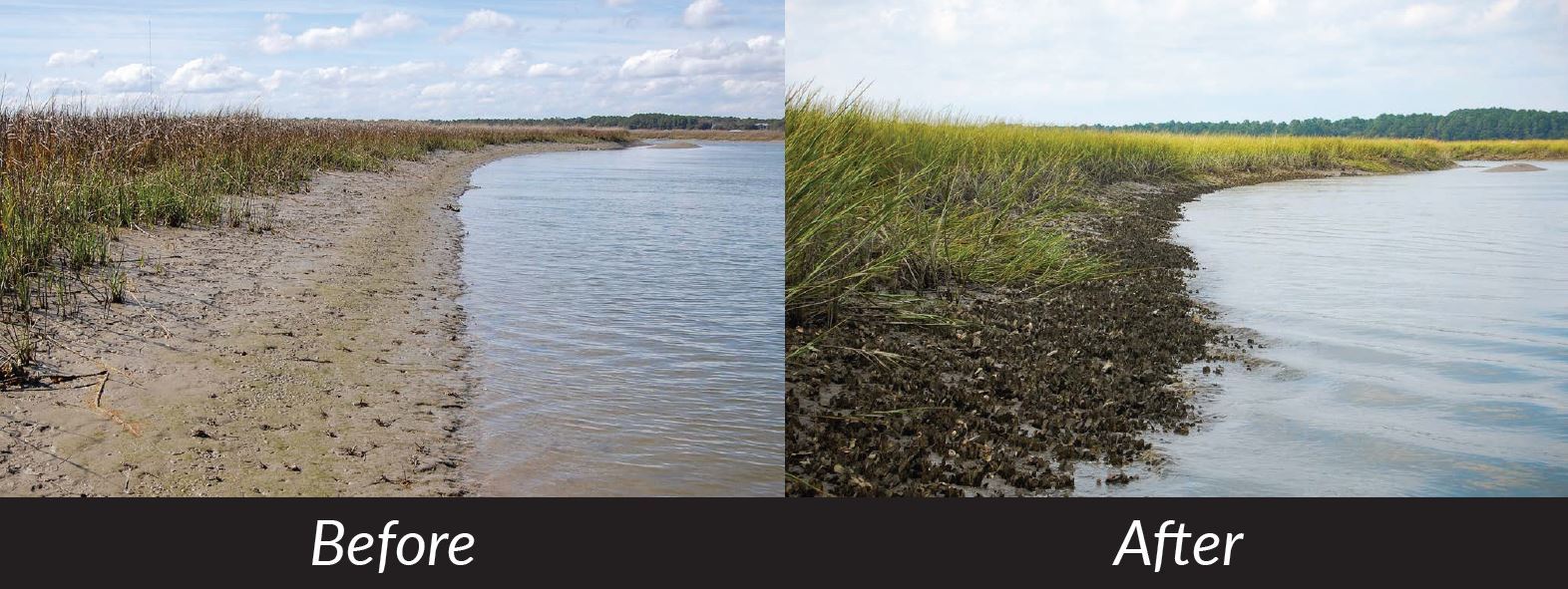 Before and After image of coastline