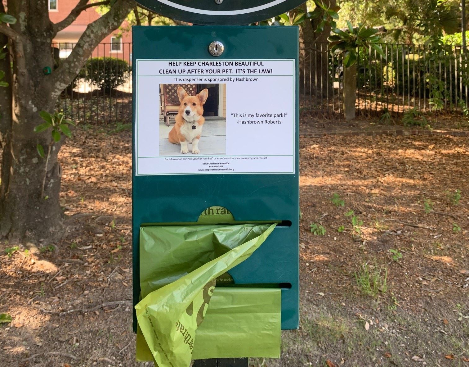 cliff roberts hashbrown