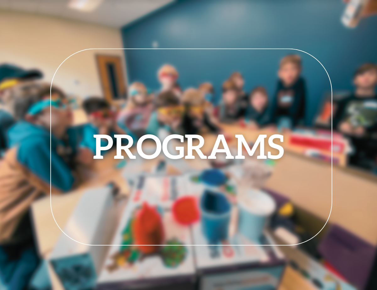 Programs (Youth  Adult)