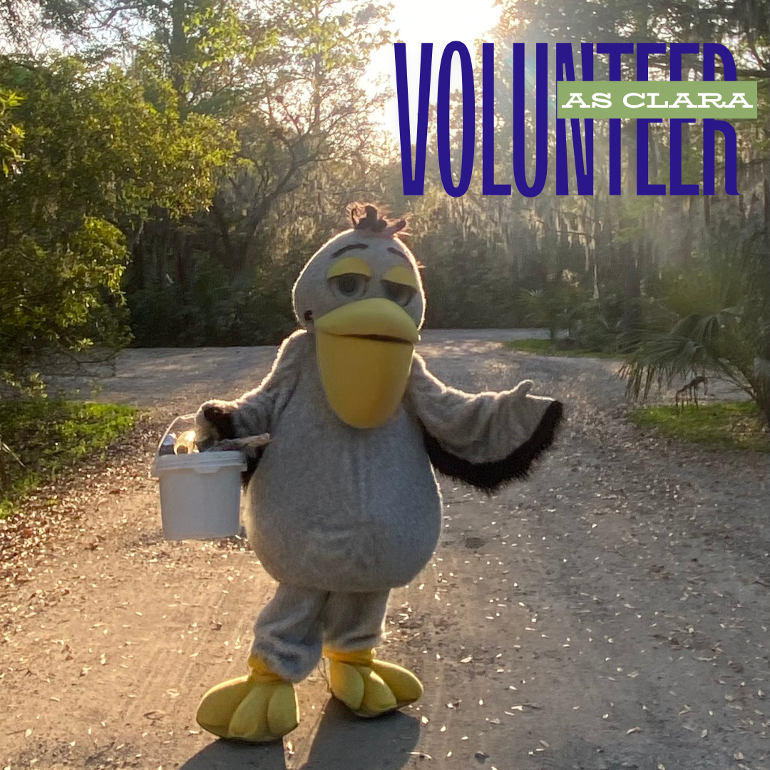 Volunteer to Be Clara!!