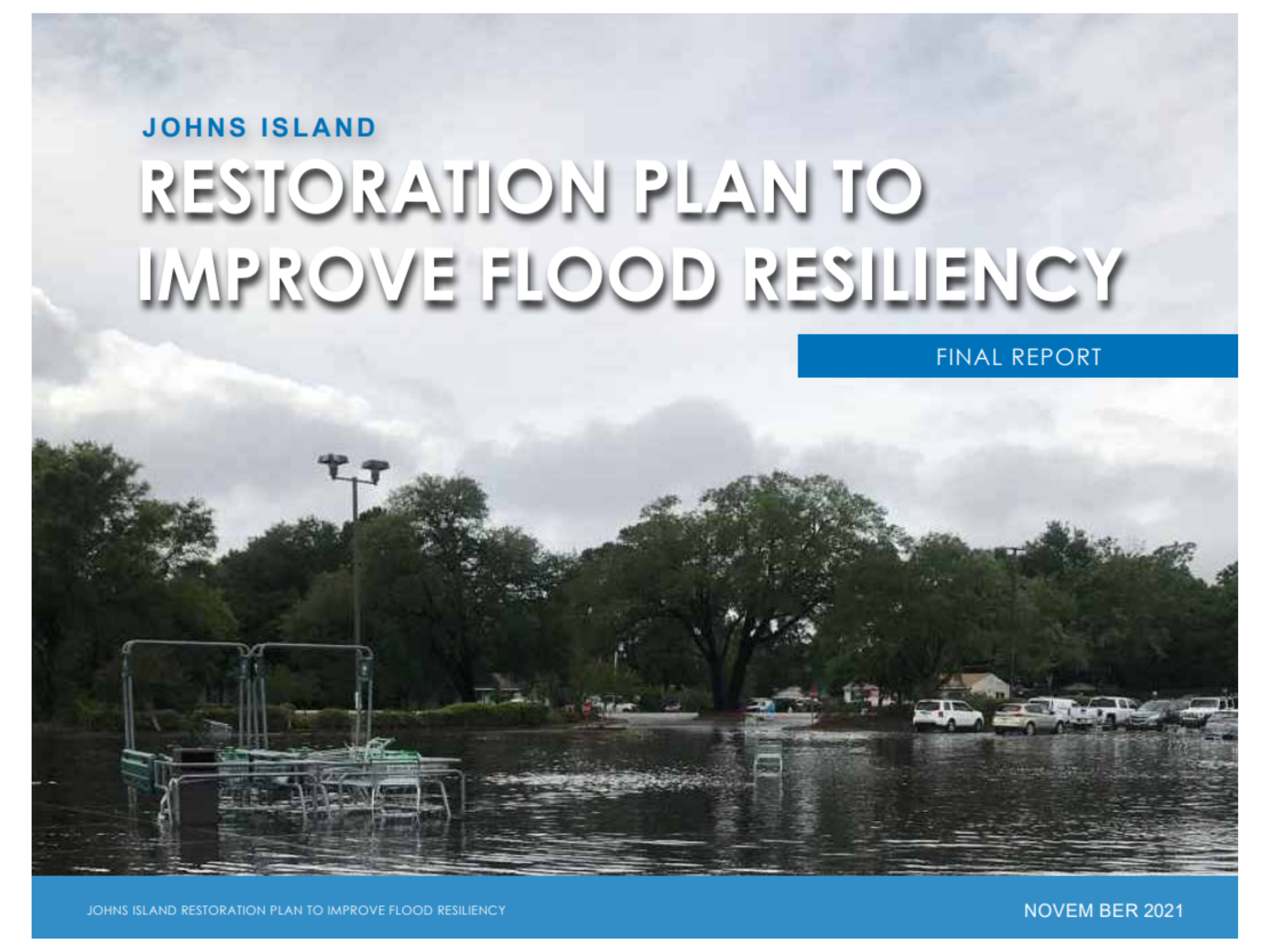 Johns Island Restoration