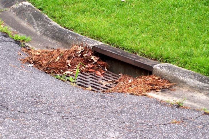 Leaves partially over storm inlet