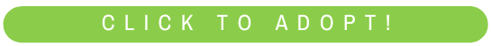 Adopt Button Opens in new window