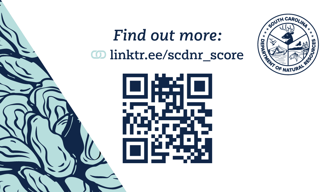 SCORE Oyster shell recycling business card-06